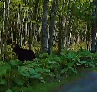 ランカ湘南台管理組合：